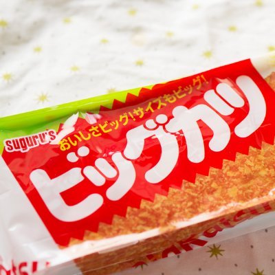 ビッグカツといか姿フライのすぐる【公式】さんのプロフィール画像