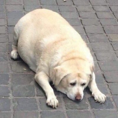 PngAS23's profile picture. 