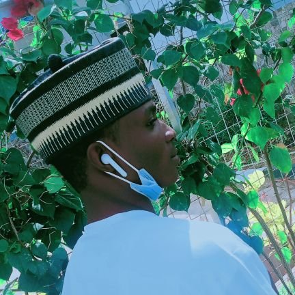 YusufObande's profile picture. 