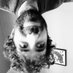 Alec Meer is not really here (@bonzrat) Twitter profile photo Alec Meer is not really here (@bonzrat) Twitter profile photo