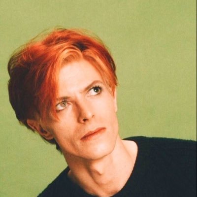 muppetbowie Profile Picture