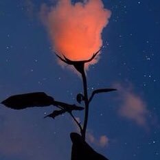 Tahseenbanu19's profile picture. 