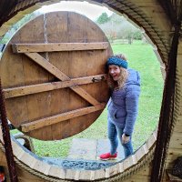 Miss Steer (@mindfulmssteer) 's Twitter Profile
