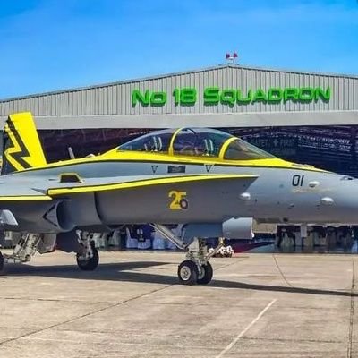 Syamilhaziq19's profile picture. MARA Besut Science Junior College,Callsign:Foxbat