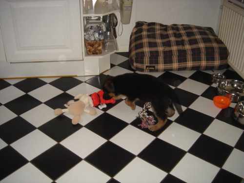 ninalovemertcan's profile picture. 