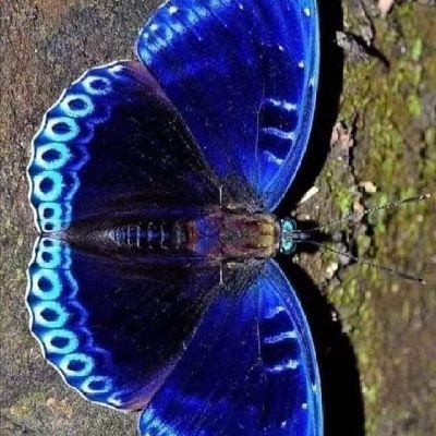 cryforh13145917's profile picture. I am lost ...need to find my way. I hope in time enough