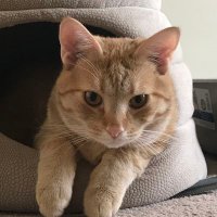 TitaniumStar 🥭 (@titaniumstarrui) 's Twitter Profile