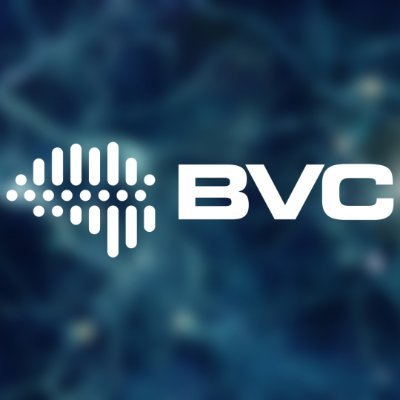 BVC2021's profile picture. 