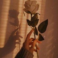 🦋Nice🦋 (@audrey_nice_) 's Twitter Profile