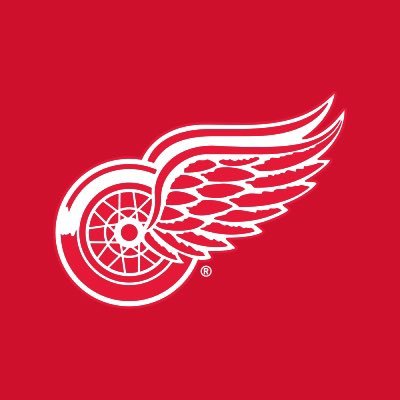 DetroitRedWings Profile Picture