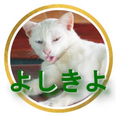 40代 FP2級 お金系ゆっくり解説 リベ大や投資・年金の常識を覆す動画・ブログを投稿してます! 趣味の投資枠は中日のHR1本につきFANG+を千円買い 日本シリーズ優勝で売ります(今年のはず😤) 新NISAはオルカン一択ですが少しずつ老後に備えGPIFを真似るPFを構築中です😊愛バイクはロイヤルエンフィールド