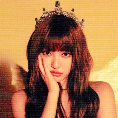 NEVERLAND (OT6)
CZENNIE (OT23)
BLINK
REVELUV
TEUME
SWITH
MY
IKONIC (OT7)
MIDZY
STAY
DIVE
BLOOM
INFP, 04 liner