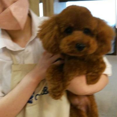 miyaji0929's profile picture. 介護福祉士です、皆仲良くしてくださいw♥