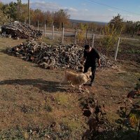 Emre (@emrekecici399) Twitter profile photo