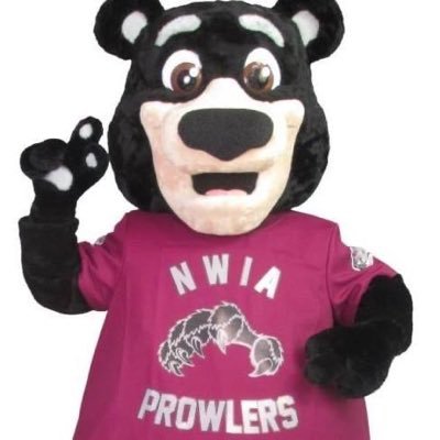 We are New World Island Academy, an @NLESDCA K-12 school of ~300 students! Go Prowlers! 🐻🐾