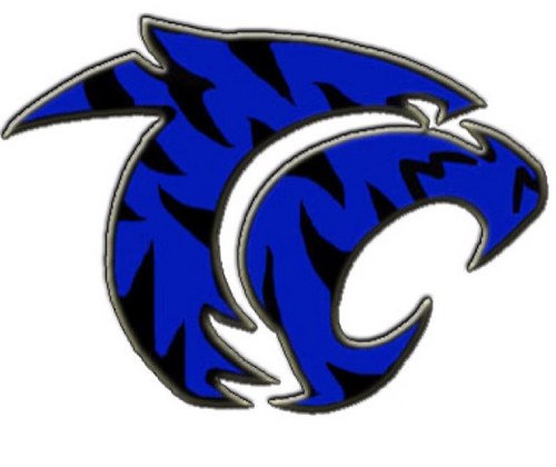 tigercheerbr's profile picture. 