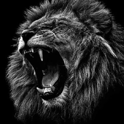 phabtweets's profile picture. Scientist II Health Informatics II Democrat II Arts II Simply smart, talented and versatile