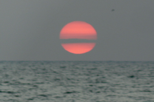 whatsthebuzzz's profile picture. 