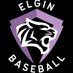 Elgin Baseball (@baseballelgin) Twitter profile photo Elgin Baseball (@baseballelgin) Twitter profile photo