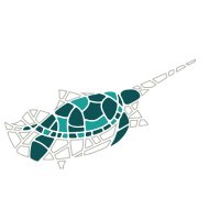 SPOT Marine Life (@spot_turtles) Twitter profile photo