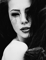 ClaraLM5's profile picture. Little Monster, @ladygaga