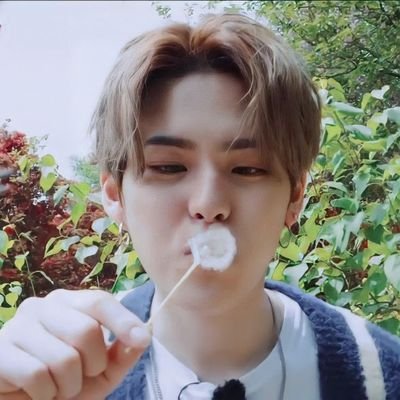 iloveyoushinori's profile picture. yoshimeng 💞 🐯                                                                 #트레조 #요시