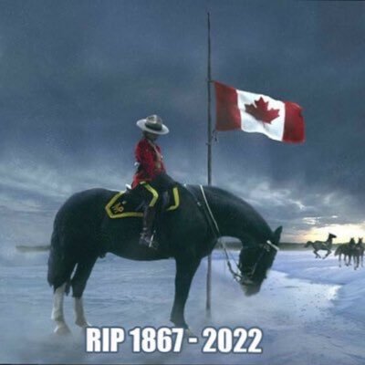 Shawnathinable's profile picture. 