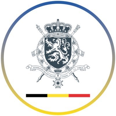 🇧🇪🇺🇦 Embassy of the Kingdom of Belgium in Ukraine ┃Посольство Королівства Бельгія в Україні