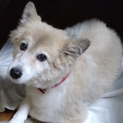 2u4ip's profile picture. 