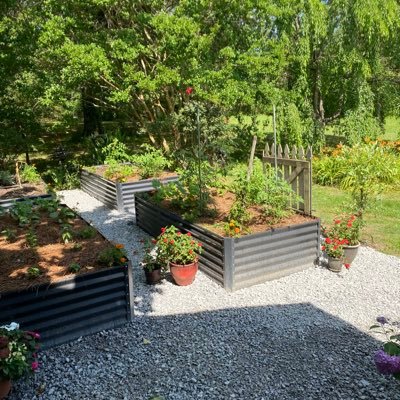 RhondaEntrikin3's profile picture. 