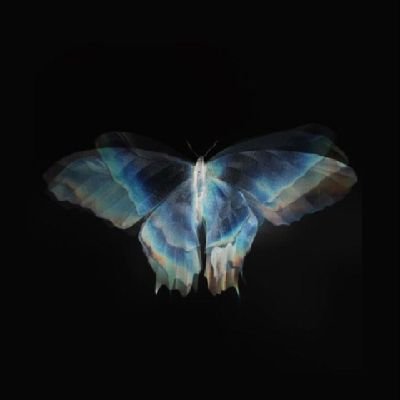 farihasalsa_'s profile picture. 