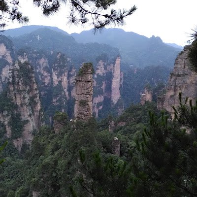 brainrules2's profile picture. 