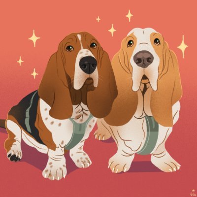 We are two stately #bassethounds just L-I-V-I-N in Sweden with our parents @bekiweki and @iechuu. We love the meats & cheeses. 
IG: sirtibblesdog #dogsoftwitter