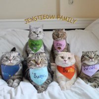 พี่เจ๋งน้องเตี๋ยวไม่ตีกันสิลูกกก (@jengtieow) 's Twitter Profile
