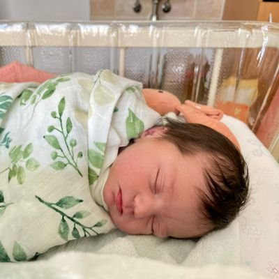 PelserWim's profile picture. Not interested in any crypto, savings, get rich schemes.
DMs wellcome.
Married.