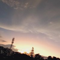 Wilfredo Ramirez (@wilfred14858861) 's Twitter Profile
