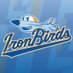 Aberdeen IronBirds (@IronBirds) Twitter profile photo