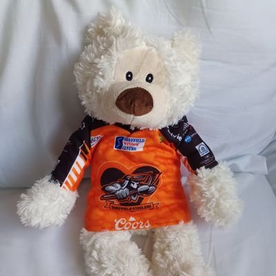 The Sheffield Steelers and Sheffield Bears world famous fortune predicting bear.