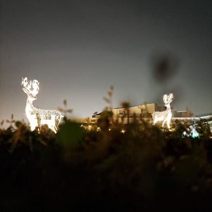 kls61261196's profile picture. 1.提醒習近平侵略福爾摩沙臺灣，是最沒有智慧最不好的選擇，會讓中國陷入萬劫不復。

2.習近平當你面臨鬥爭失敗快下台時，你可以選擇對全世界宣告支持臺灣獨立，這是你有活命的機會，也是維護兩岸長治久安，和平共處的最好選擇。

3.相信你一定可以做最好的選擇，支持福爾摩沙臺灣獨立。也請清醒的中國人民支持福爾摩沙臺灣獨立。