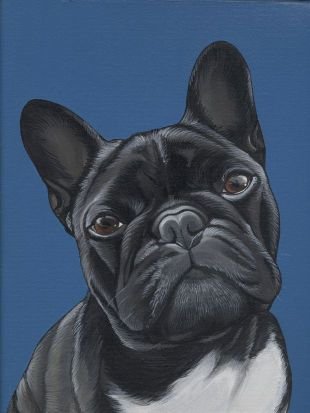 frenchbulldogfo Profile Picture