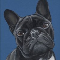 french_bulldog_forever(@frenchbulldogfo) 's Twitter Profile Photo