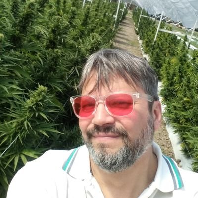 alemarco_OK's profile picture. Cogito ergo sum. Ing. Agr. (UNL-UBA) biotech think tank en Cannabissima (genética de cáñamo industrial & canabinoides)