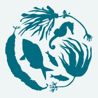 Sussex Kelp Recovery Project(@SussexKelp) 's Twitter Profile Photo