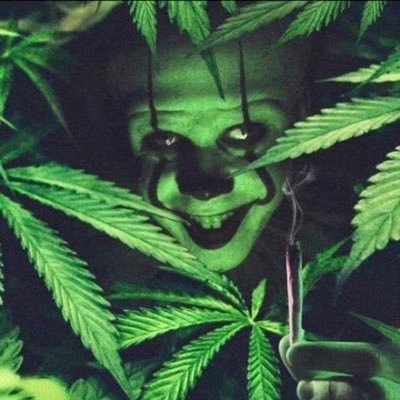 大麻を愛し大麻に愛される男。Green Ninja creeping while you sleeping 合法化されたバンコクでディスペンサリー業と卸し業。麻道に日々向かう会う忍者。