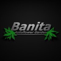 Banita(@Banita4Buds) 's Twitter Profileg