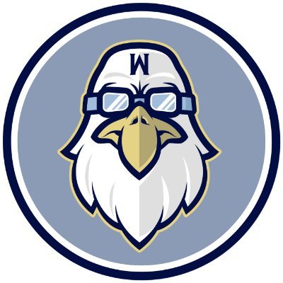 The Official Twitter account of the Kinston Wingmen! A collegiate summer baseball team in the @onslbaseball. 🦅