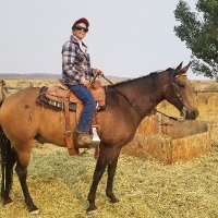 Anne Christian (@annechr93045290) 's Twitter Profile
