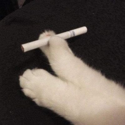 𝗧𝗜𝗖𝗞𝗬 🪐さんのプロフィール画像