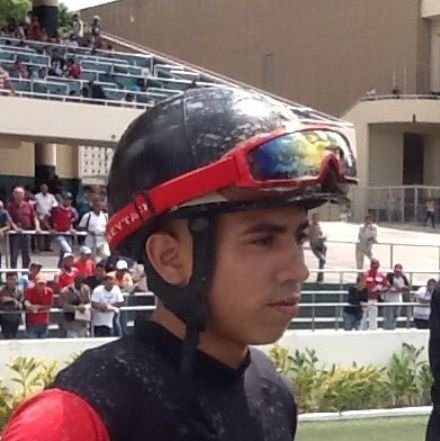 Amante de las carreras de caballos y los deportes en General