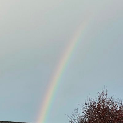 eternallifter's profile picture. 